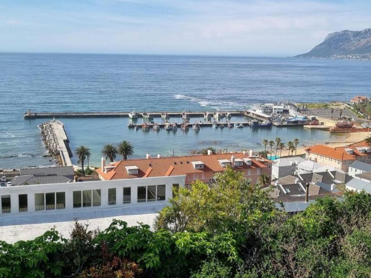 The Dragon Tree Guesthouse Kalk Bay Exterior photo