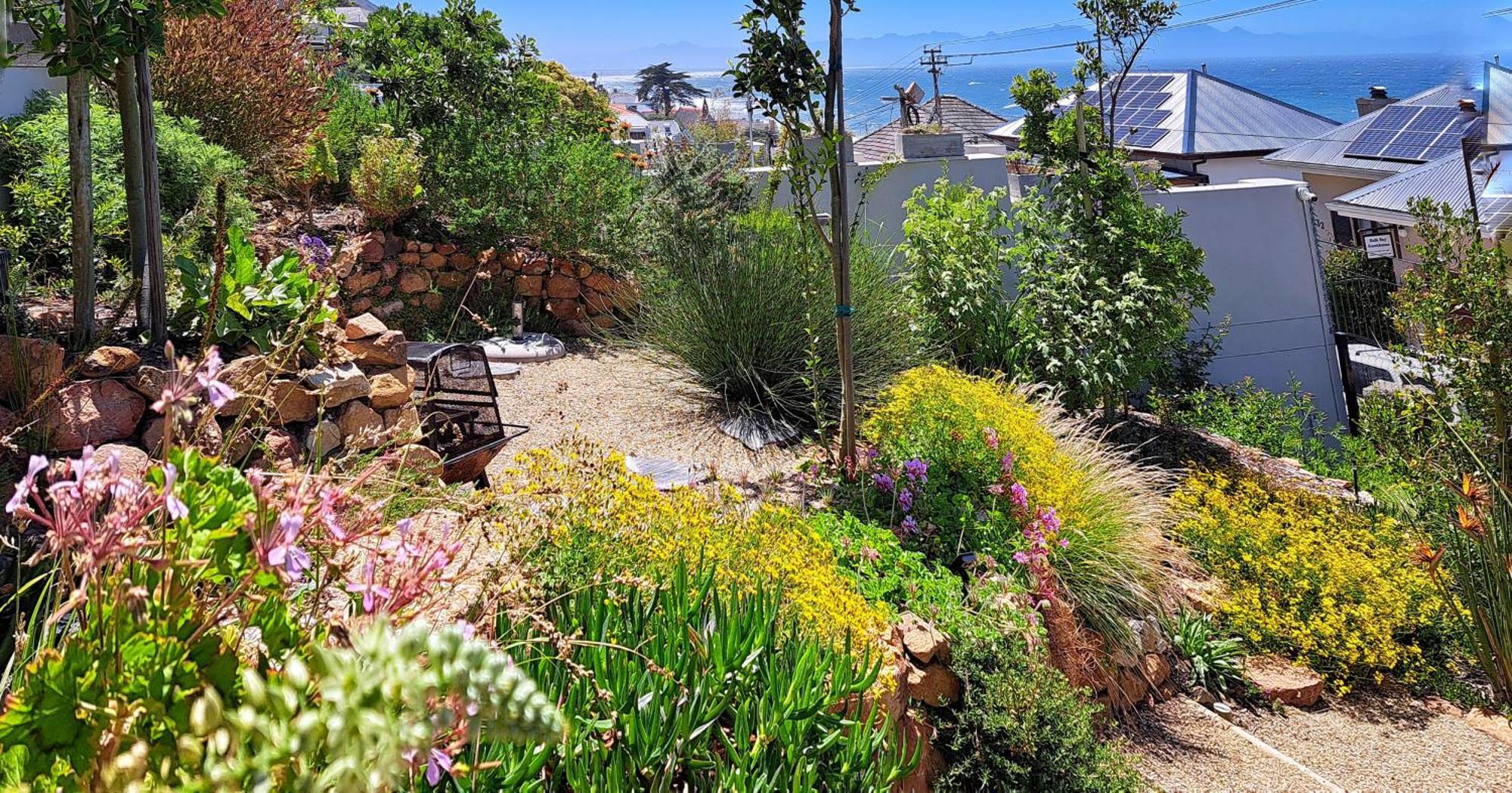 The Dragon Tree Guesthouse Kalk Bay Exterior photo
