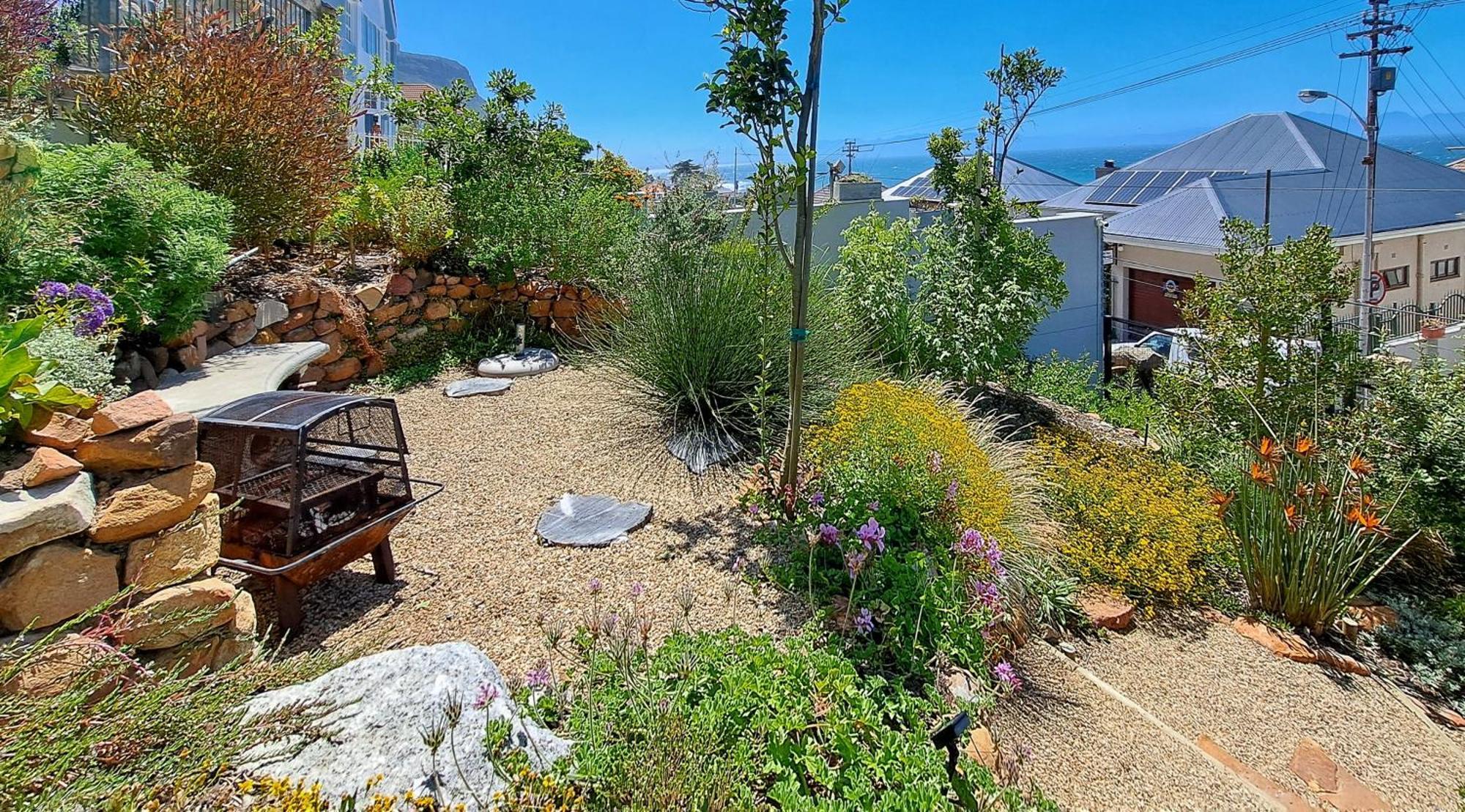 The Dragon Tree Guesthouse Kalk Bay Exterior photo